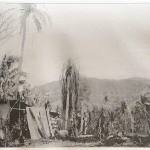 Hoài Nhơn sau giải phóng