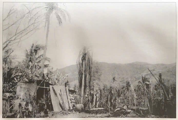 Hoài Nhơn sau giải phóng