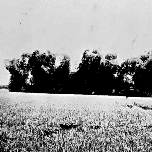 Di tích đầm cánh bướm