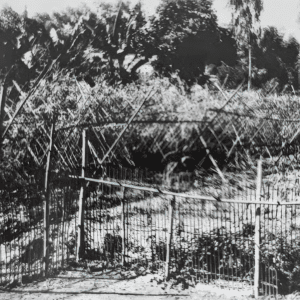 DI TICH VUON NHA HUYNH VINH HUNG