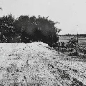 Di tích Vườn Nhà Lê Phúc