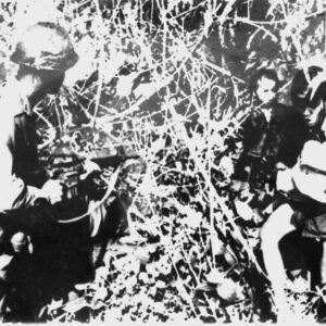 Lính Mỹ bắt đồng bào ở Bồng Sơn 1966