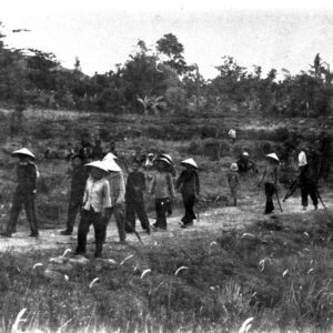 Nhân dân xuống đường đấu tranh chính trị đồi 10