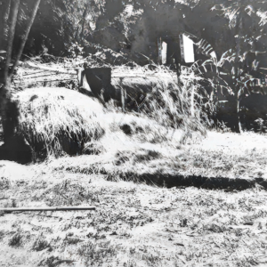 DI TICH VUON NHA PHAN VAN PHUC